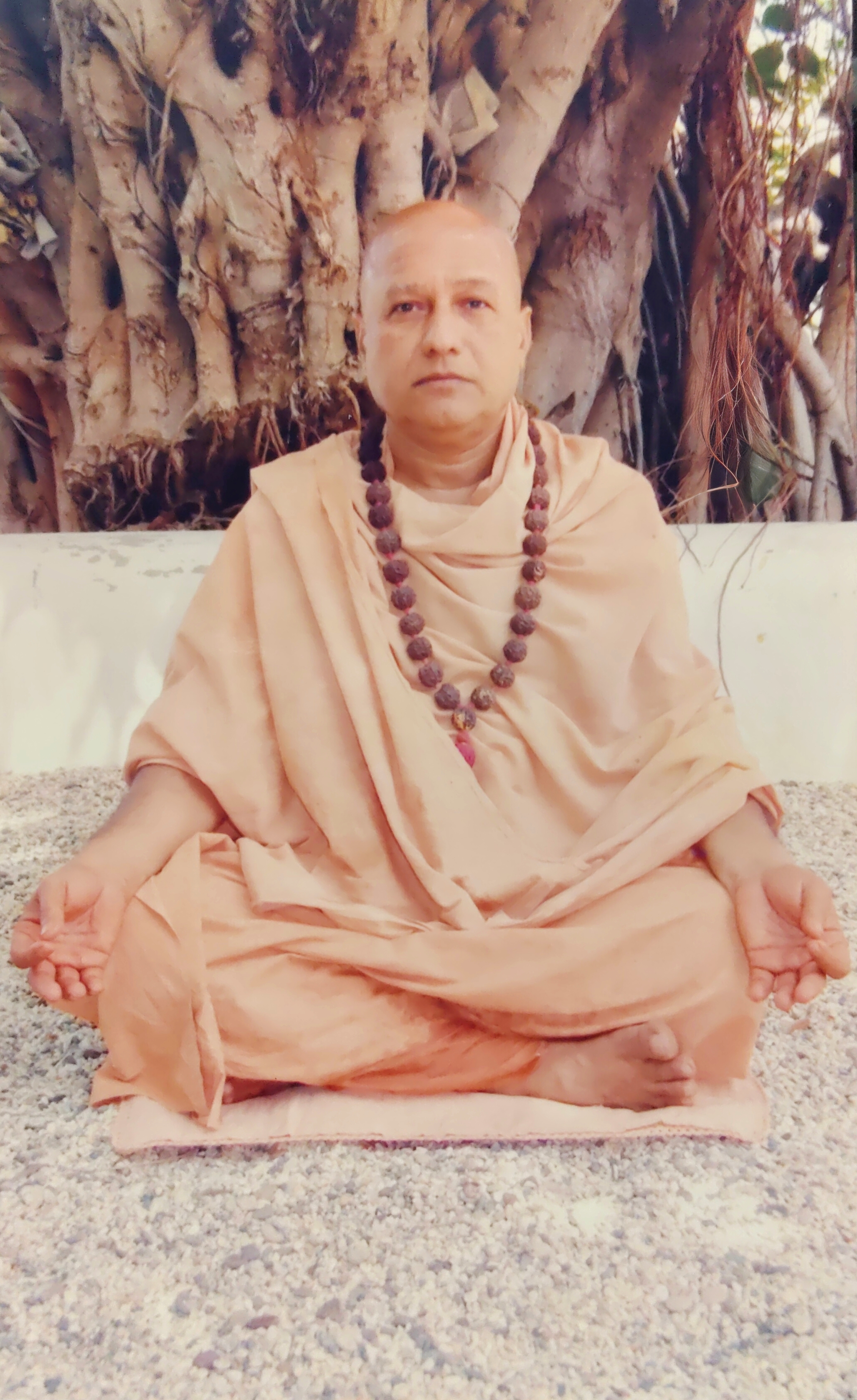 Swami Shri Swaroopanandji Mahamandaleshwar